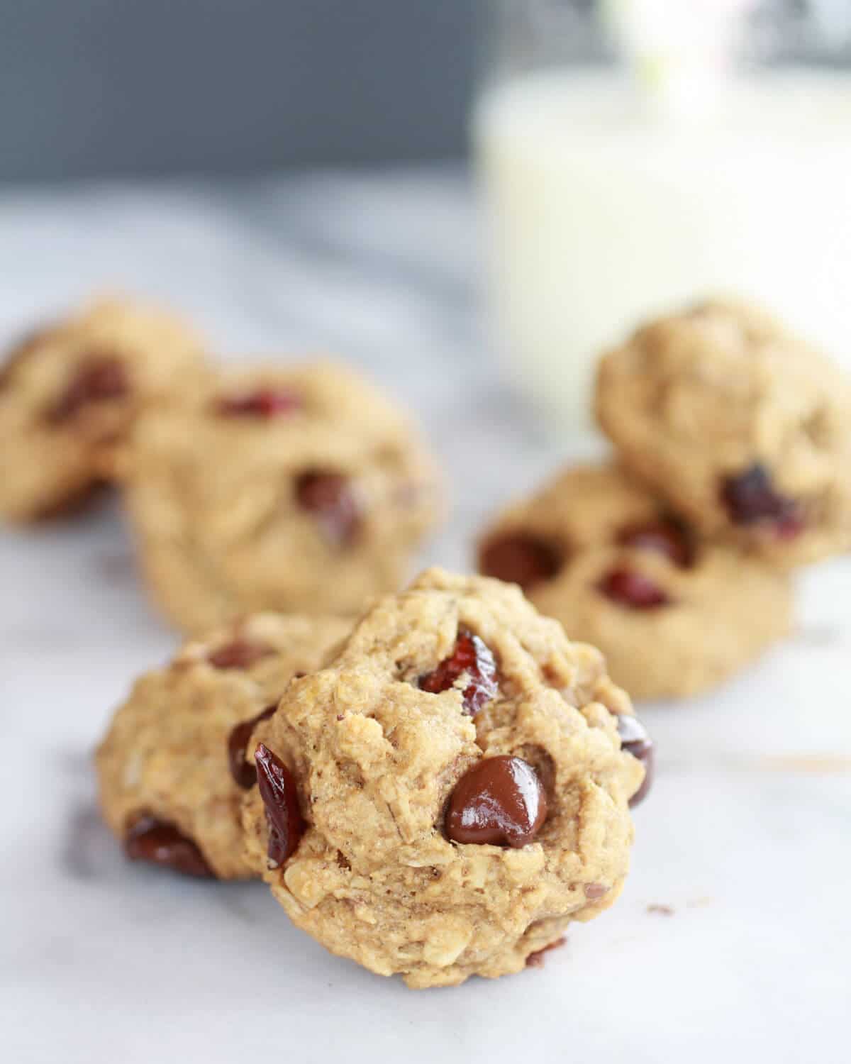 Super Healthy Breakfast (or anytime) Cookies-6