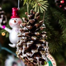 Homemade Holidays- Snowy, Sparkly Pine Cone Ornaments | halfbakedharvest.com @hbharvest