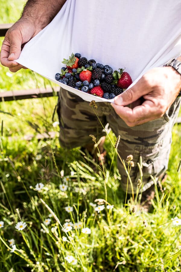 Summer Berries | halfbakedharvest @hbharest 