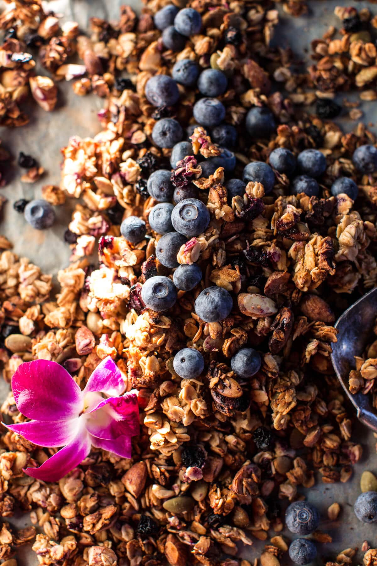 Blueberry Muffin Granola Greek Yogurt Breakfast Bowl | halfbakedharvest.com @hbharvest