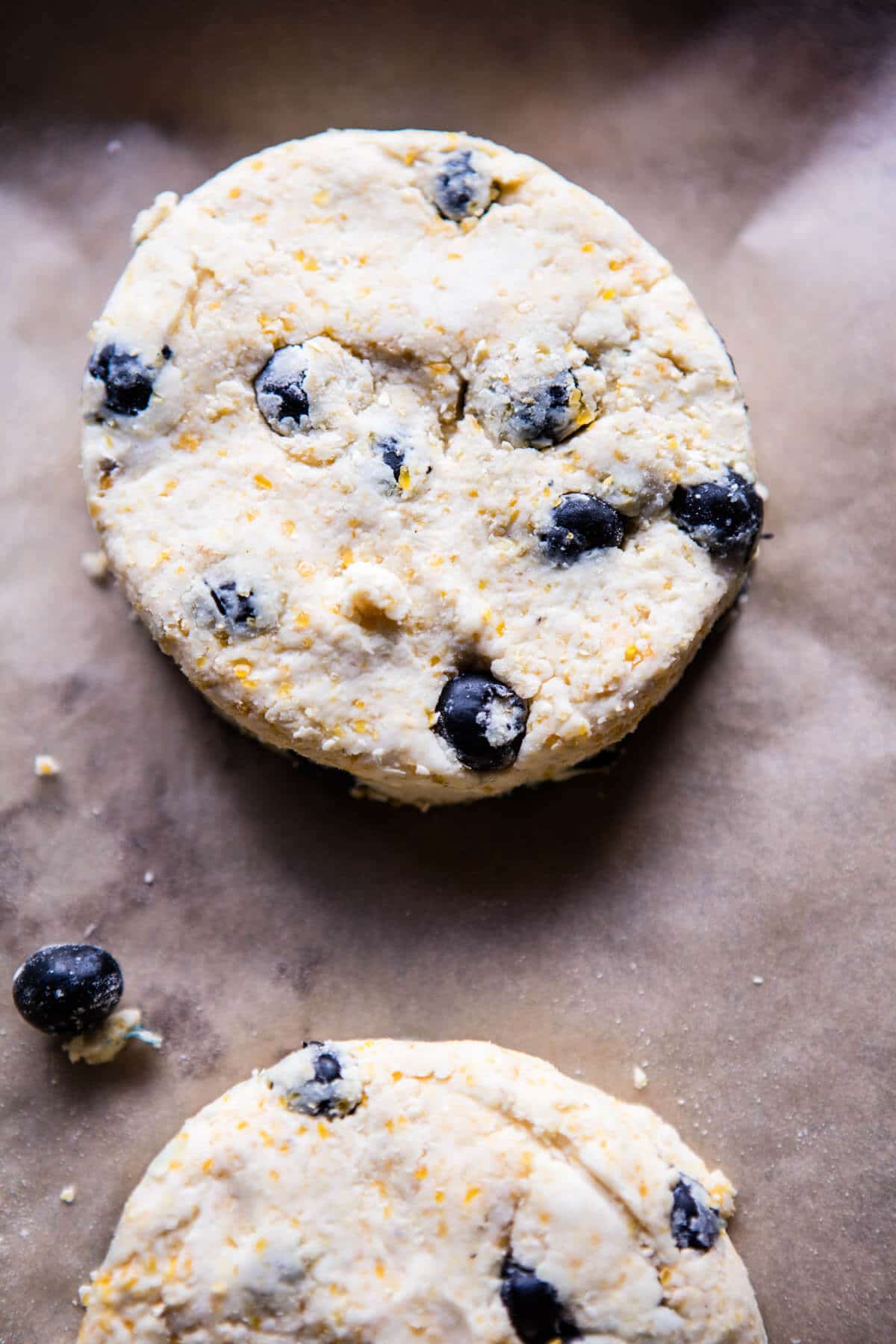 Blueberry Brie Cornbread Biscuits with Honey Butter | @hbharvest