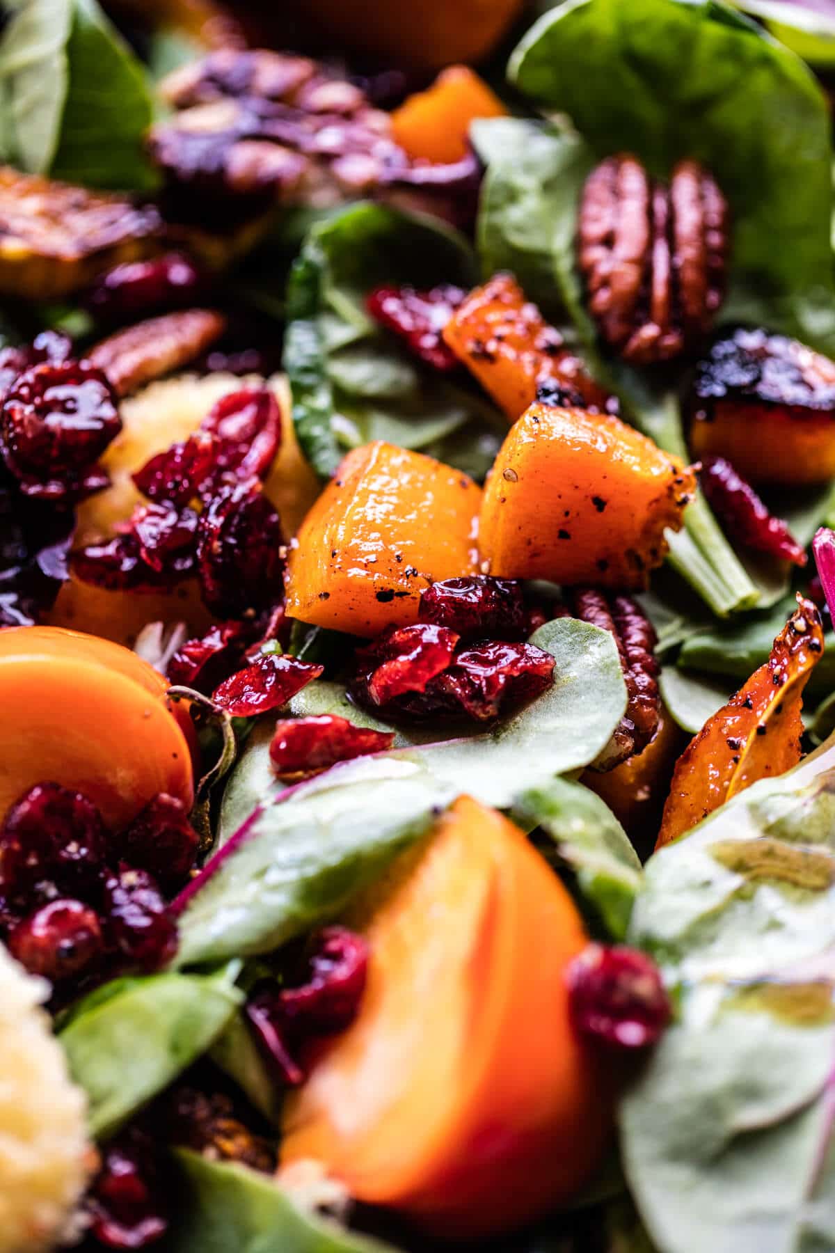 Cranberry Roasted Butternut Persimmon Salad | halfbakedharvest.com @hbharvest