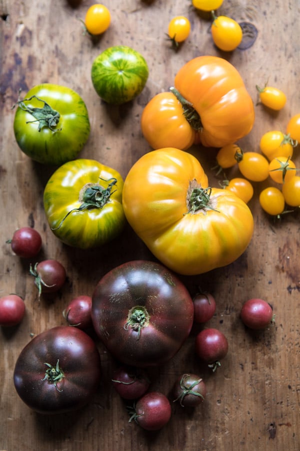 Summer Tomato and Zucchini Halloumi Bake | halfbakedharvest.com @hbharvest