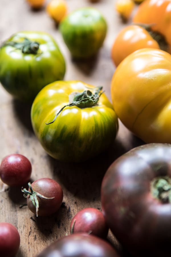 Summer Tomato and Zucchini Halloumi Bake | halfbakedharvest.com @hbharvest
