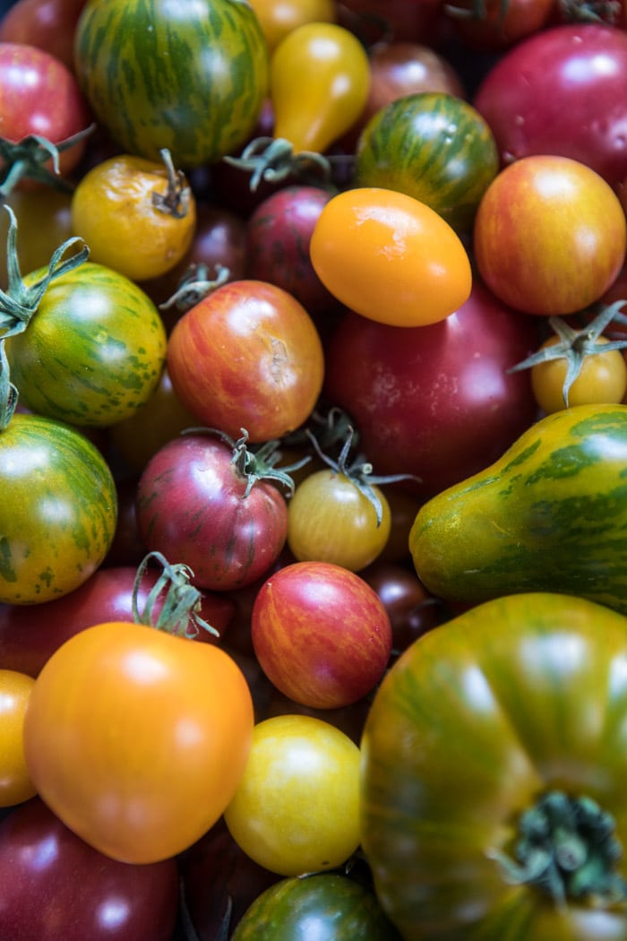 Pepper and Cherry Tomato White Pizza | halfbakedharvest.com @hbharvest