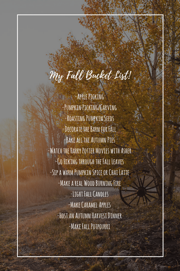 My Fall Bucket List | halfbakedharvest.com @hbharvest
