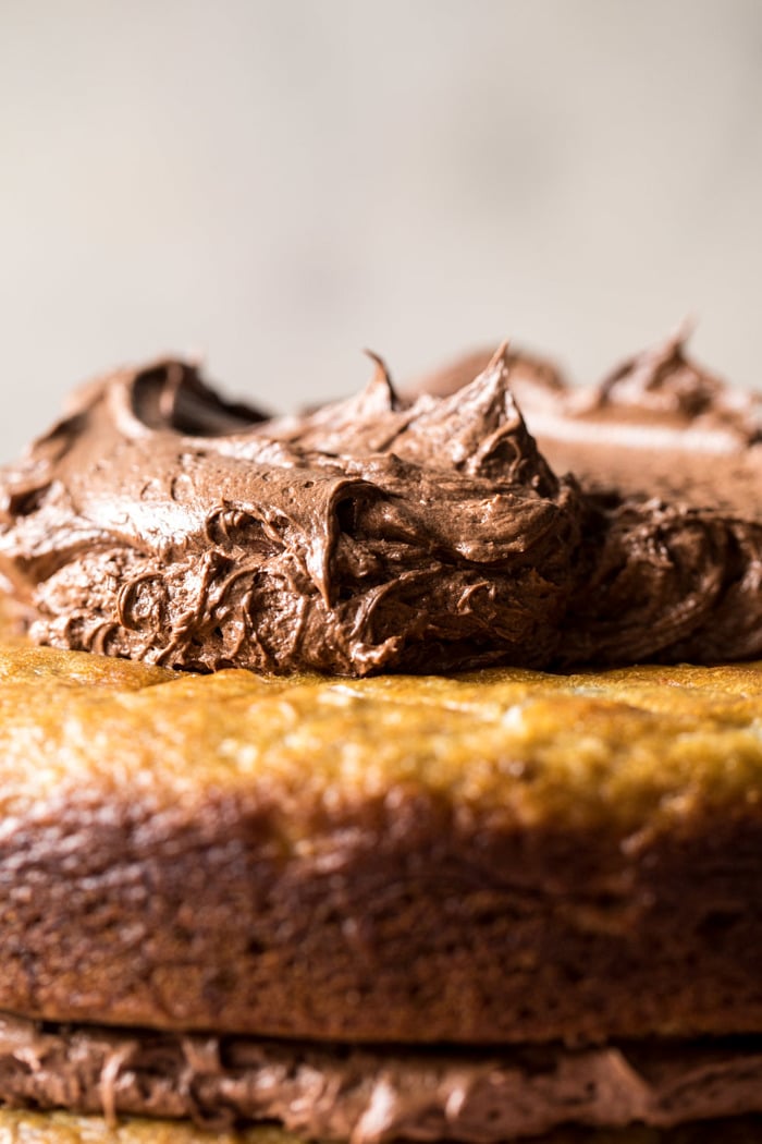 Coconut Banana Cake with Chocolate Frosting | halfbakedharvest.com #Easter #cake #chocolate #spring