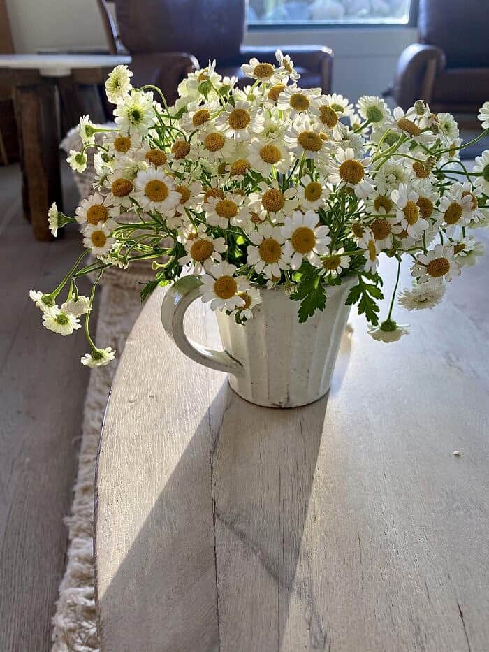 flowers in mug